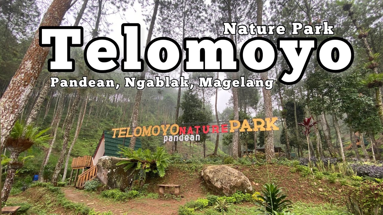 Telomoyo Nature Park: Menjelajahi Pesona Alam di Lereng Merapi